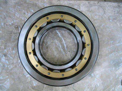 Easy-maintainable conveyor idler bearing 6309/C4